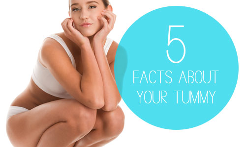 5 QUICK FACTS ABOUT YOUR TUMMY